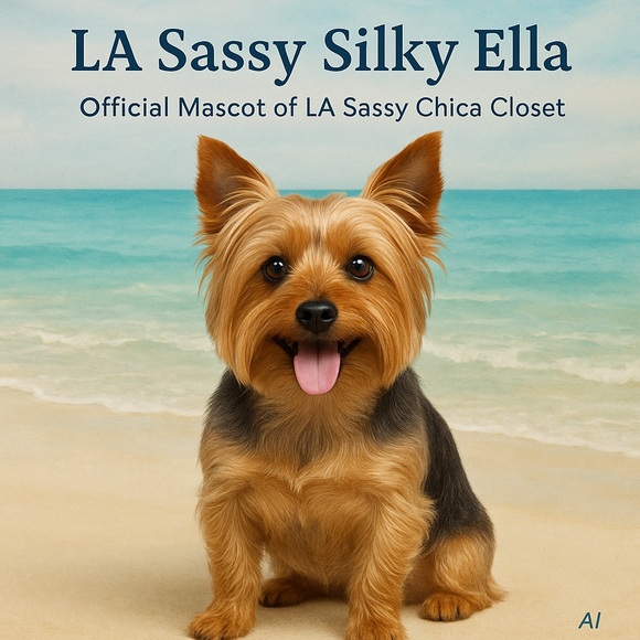 Closet Clear Out 💫 Elevated & Most-Loved Finds @LASassyChica - Picture 13 of 14